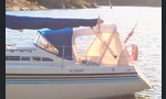 Sunwind 311-kuva-14